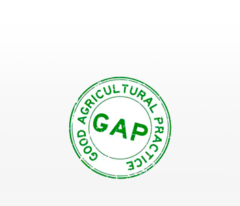 logo certificate Good Agricultural practice
