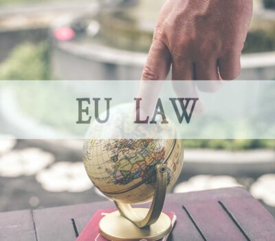 Cricket powder as Novel Food  EU Imports and Consuming Legislation review by Bugs Innovations