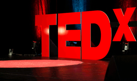 tedx about bugsinnovations